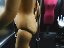 sonya 2 nude view flaw